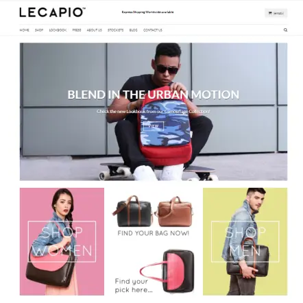 lecapio.com Preview